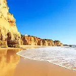 Laukamao Da Rocha 波尔蒂芒