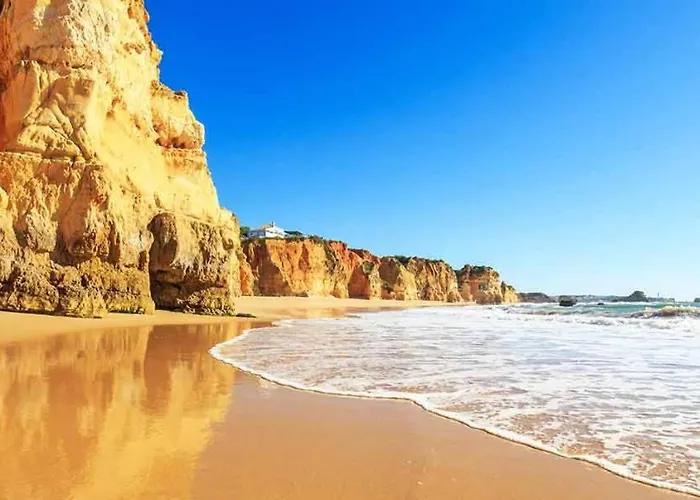 Laukamao Da Rocha פורטימאו